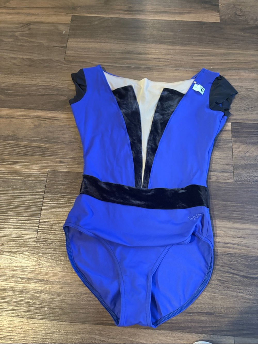 Nikolay Royal Blue Leotard